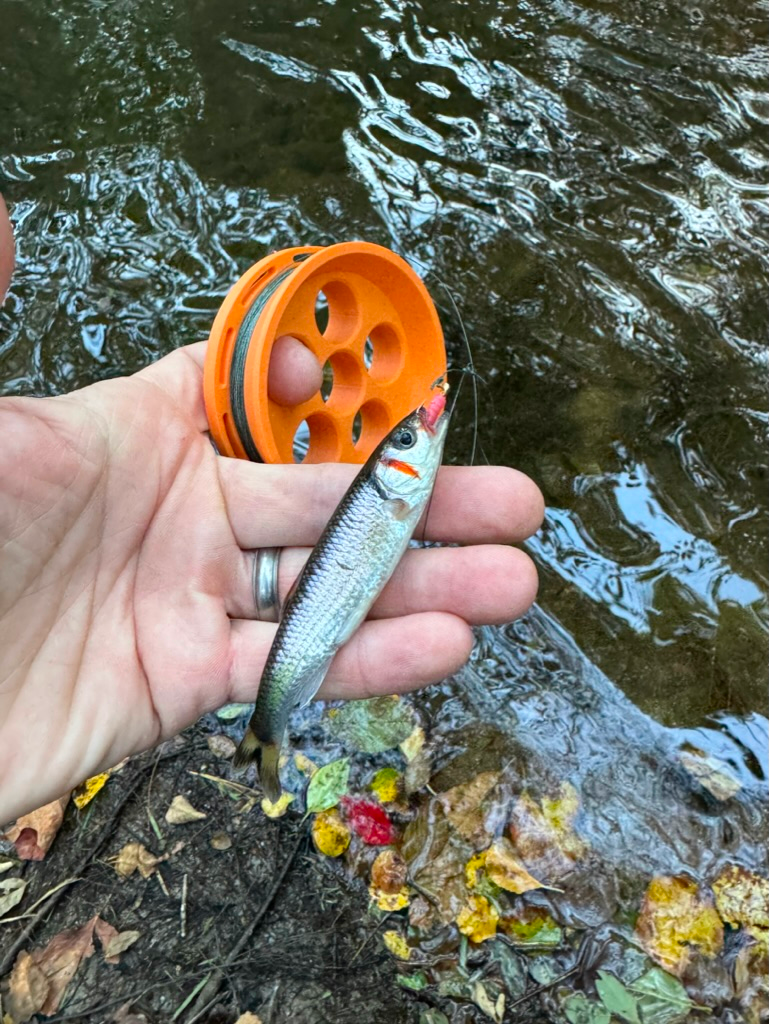 Crystal Creek Gear GoReel Rodless Hand Reel (Orange)