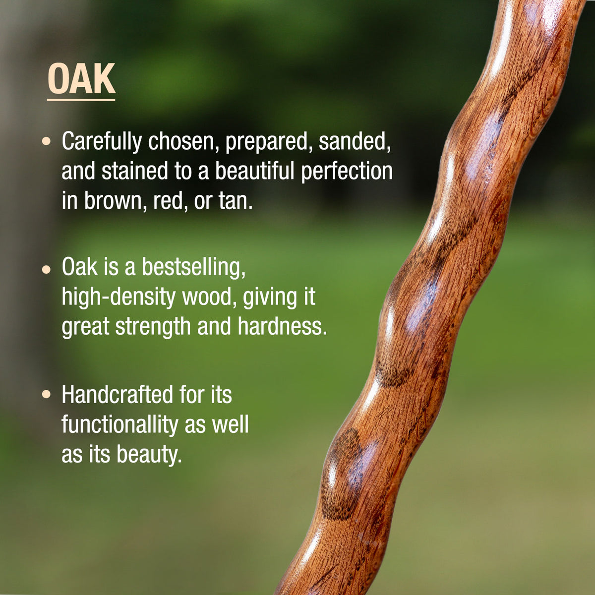 BRAZOS WALKING STICKS TWISTED OAK BACKPACKER HANDCRAFTED WALKING STICK