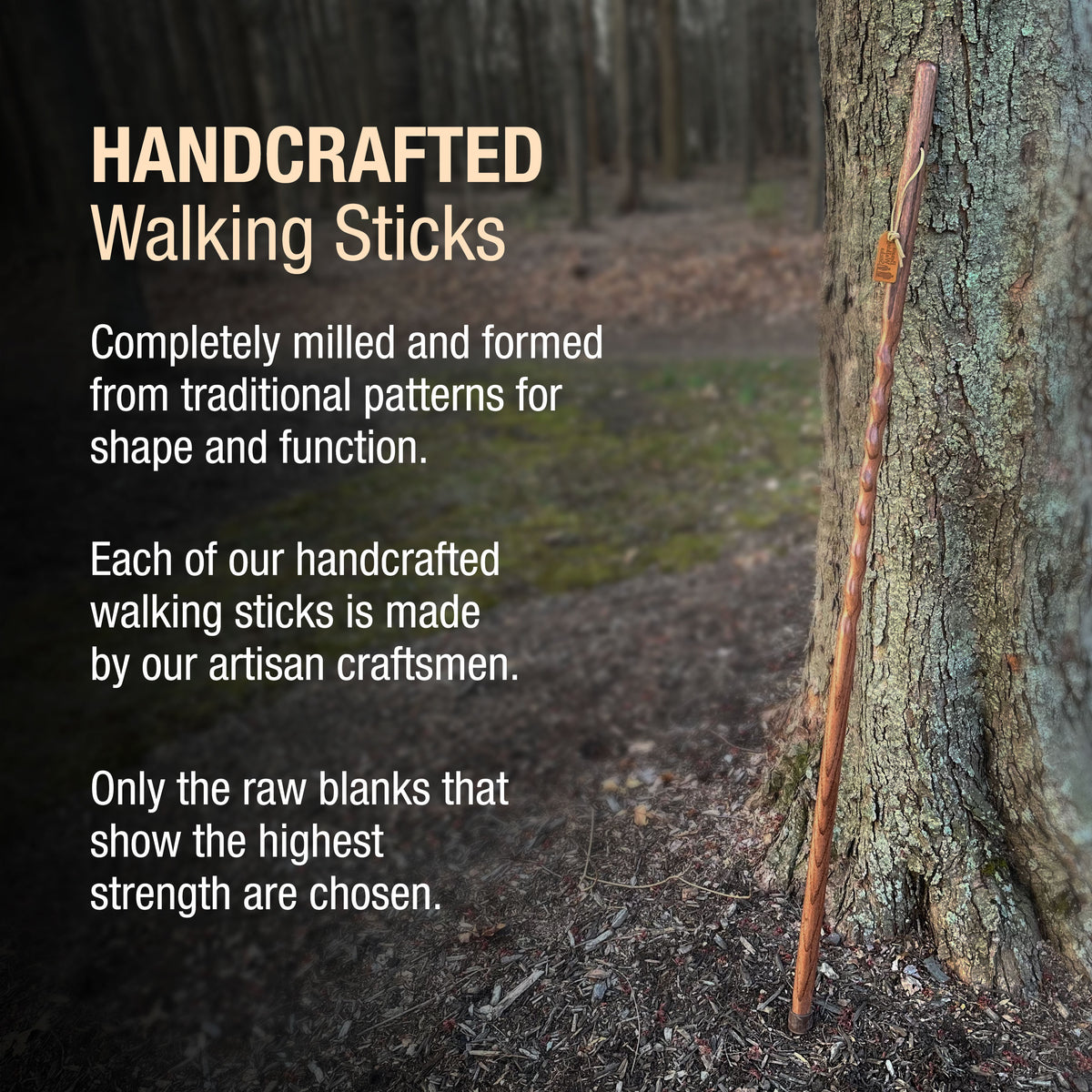 BRAZOS WALKING STICKS TWISTED OAK BACKPACKER HANDCRAFTED WALKING STICK