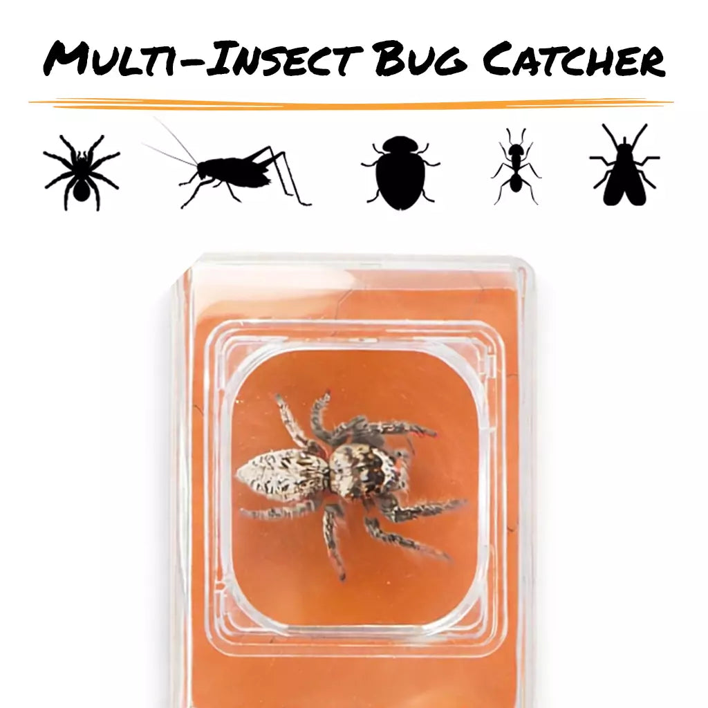 CARSON OPTICS BugView™ 5x Magnifier Quick- Release Bug Catching Tool