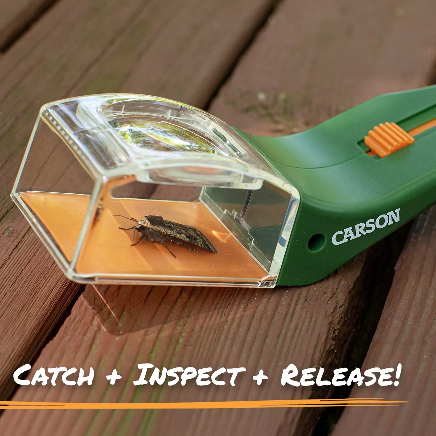 CARSON OPTICS BugView™ 5x Magnifier Quick- Release Bug Catching Tool