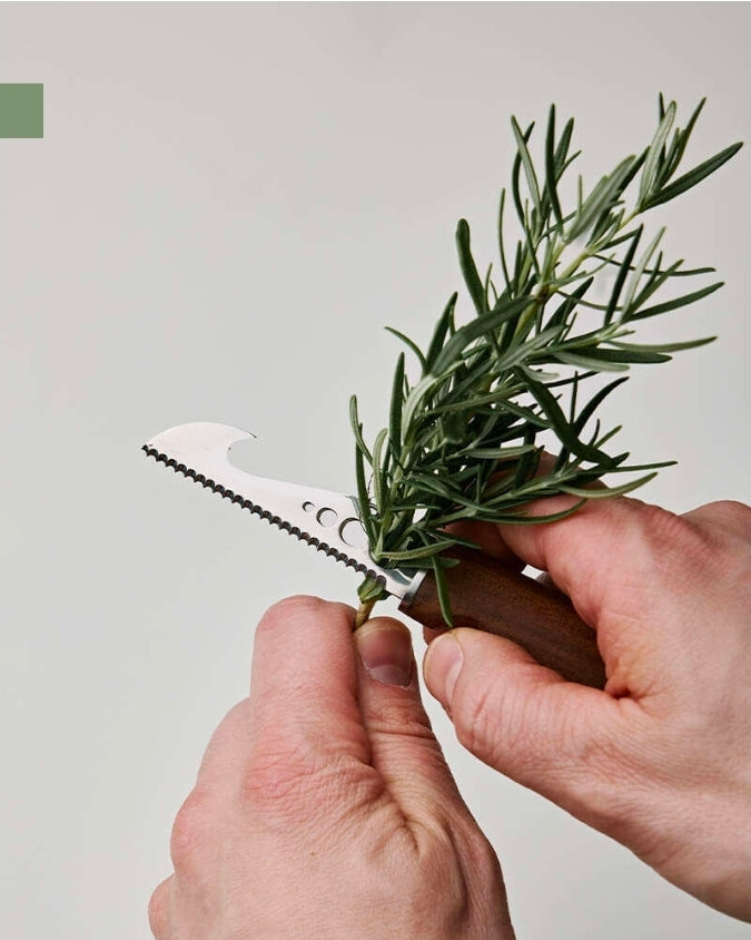 MARTTIINI Herb Knife Kerääjä
