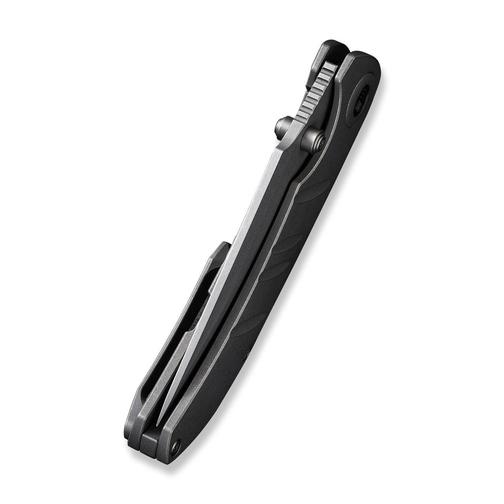 WE KNIFE CO LTD Riff-Raff Thumb Stud Knife Titanium Handle (3.12" CPM 20CV Blade) WE22020B-3