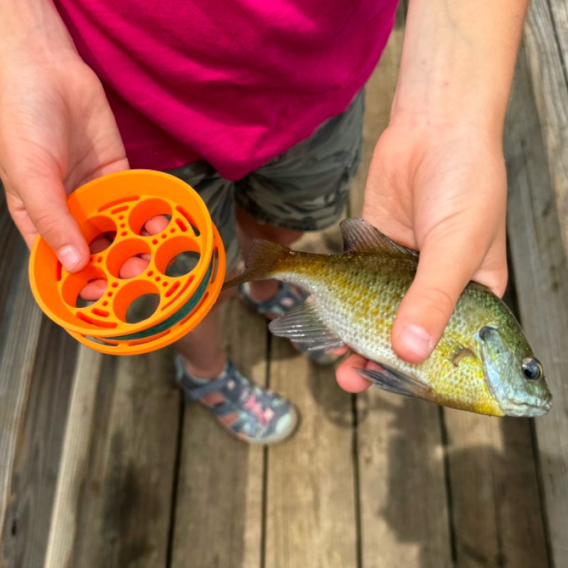 Crystal Creek Gear GoReel Rodless Hand Reel Fishing Kit - Pond