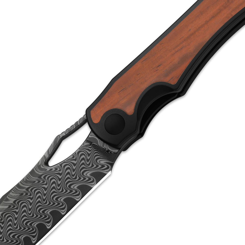 KIZER CUTLERY Allure | Acid Washed Damascus | Titanium & Panama Rosewood