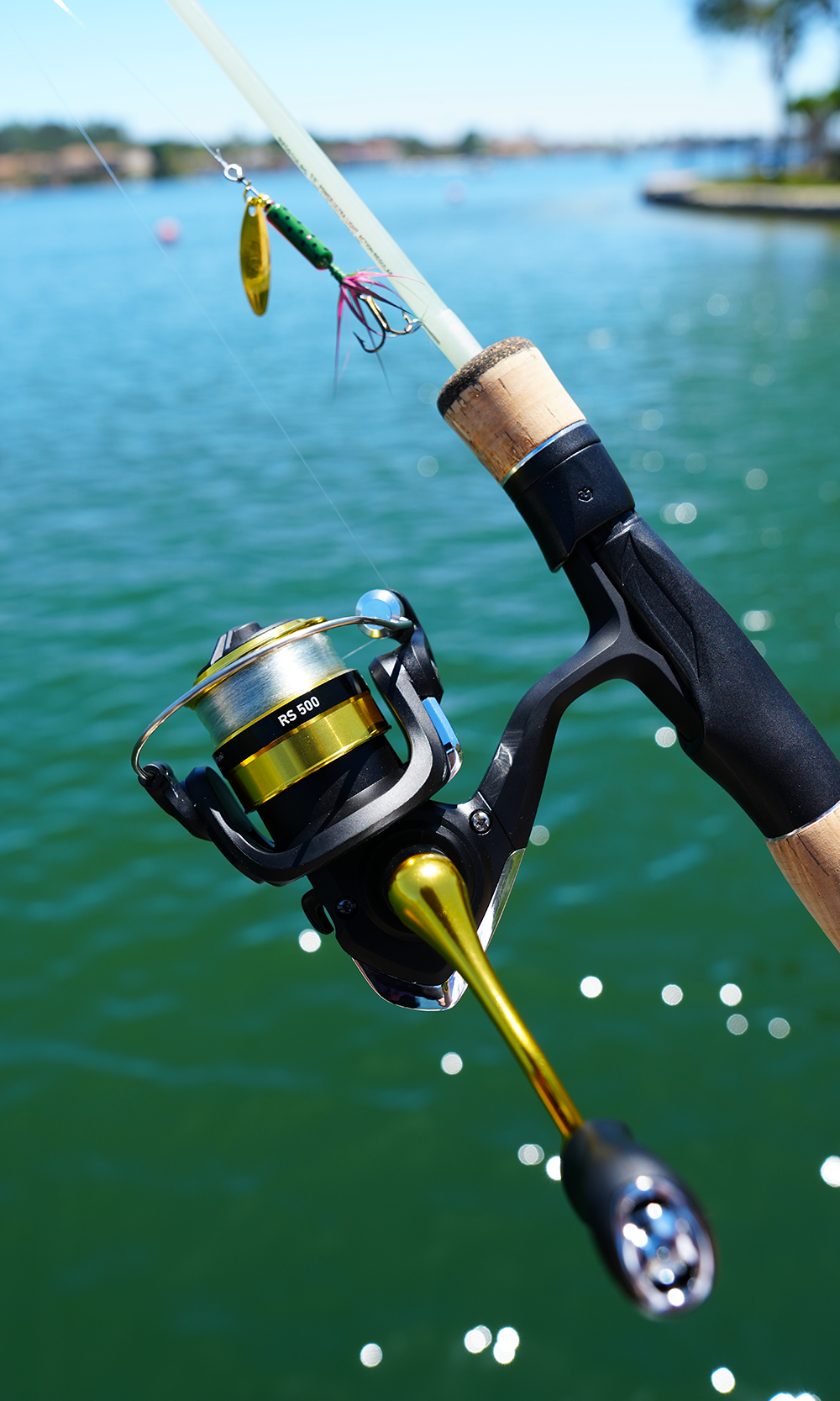 DAIWA 2026 RS 500