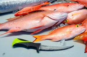 Relentless Knives Inshore Set
