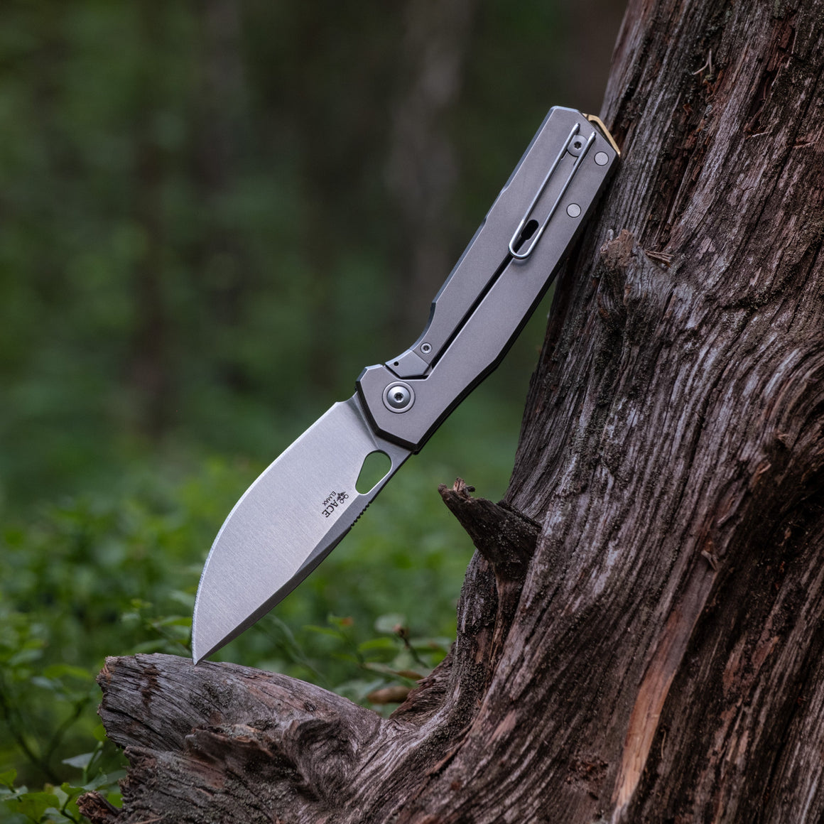 GIANT MOUSE Zoobie - Black G10